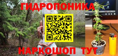стафф Бийск